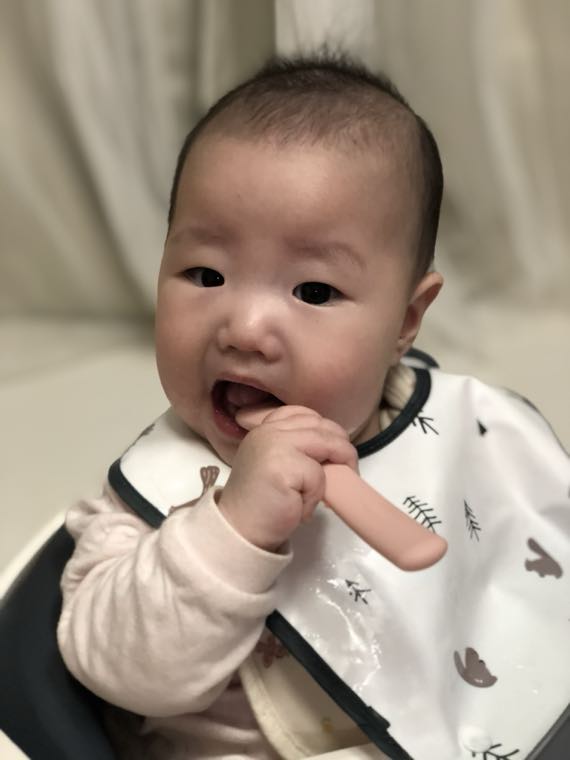 Baby's first foods: what to start with, and the rice porridge → veg → fruit → beef order