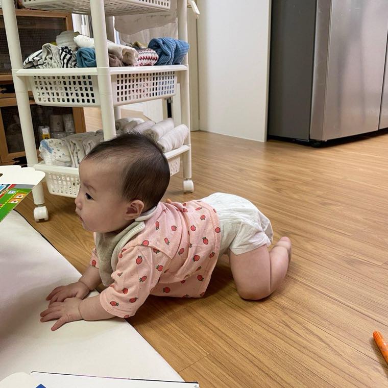 아기 있는 집 가을 실내 벌레 차단과 살충제 안전하게 쓰는 법